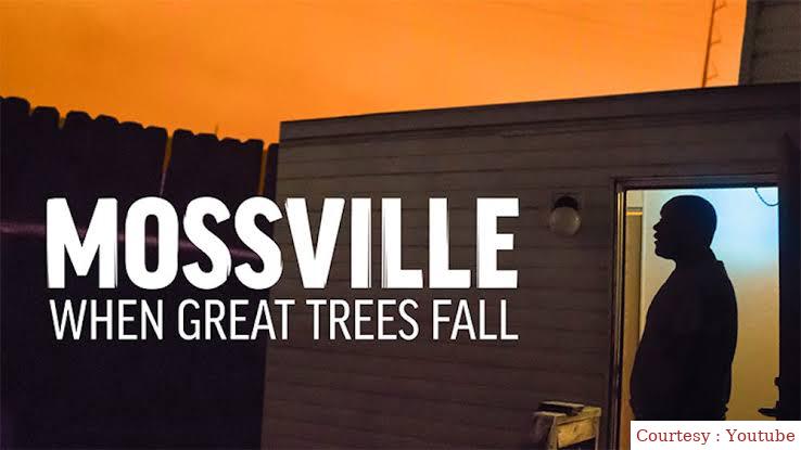 Mossville: When Great Trees Fall