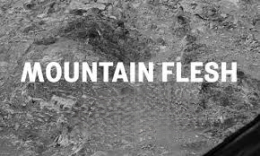 Mountain Flesh