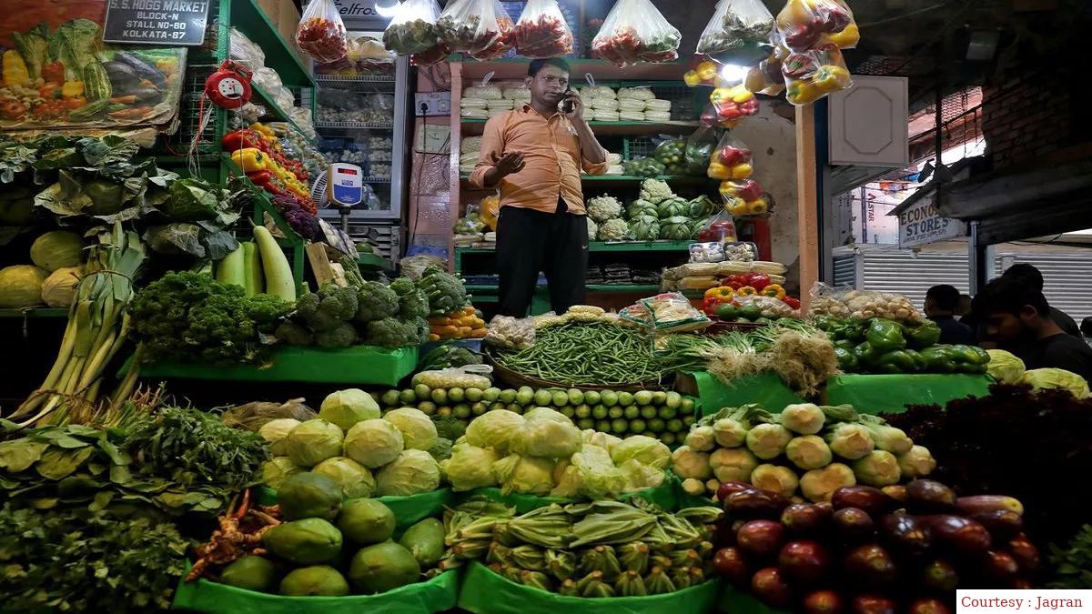 MPC सदस्य आशिमा गोयल बोलीं इस साल महंगाई दर में आ सकती है कमी