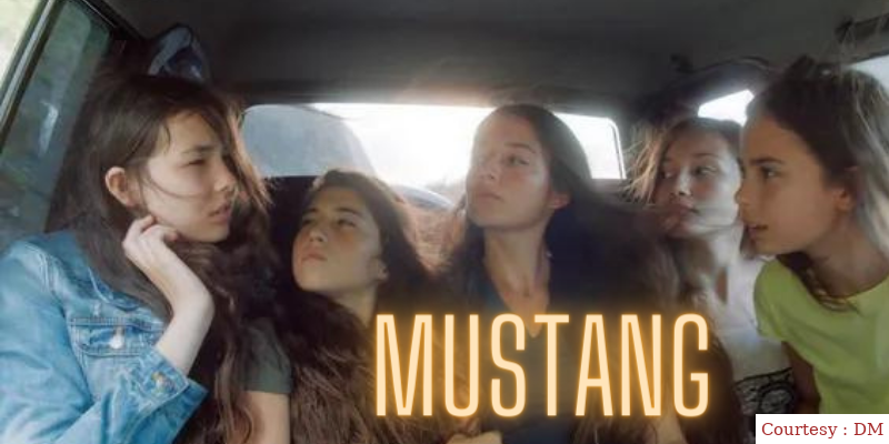 Watch Free  Mustang Full Movie Online
