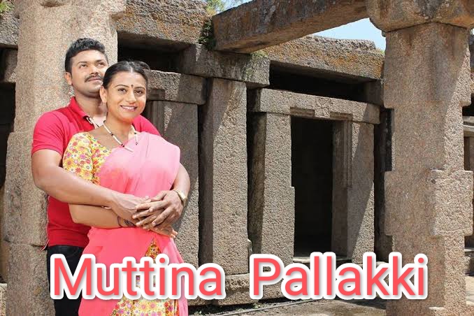 Muttina Pallakki
