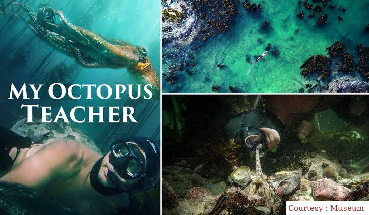 Watch Free  My Octopus Teacher Full Movie Online