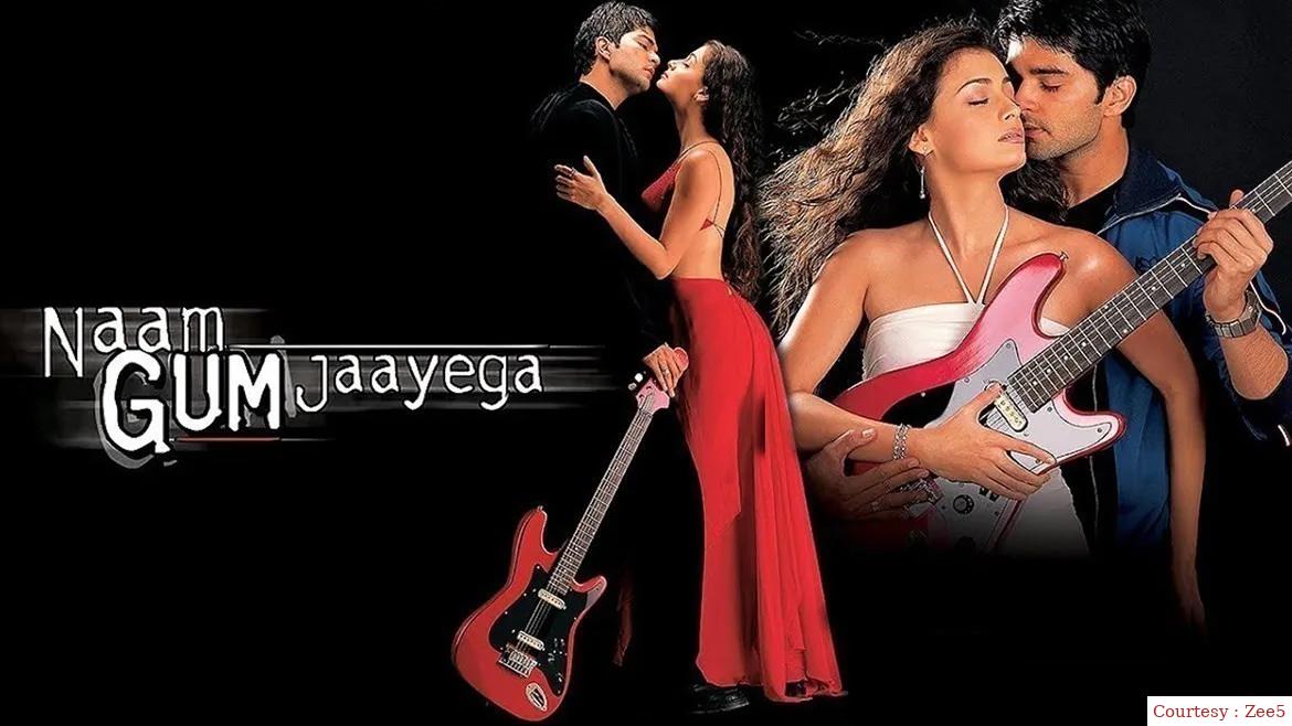 Watch Free  Naam Gum Jaayega Full Movie Online