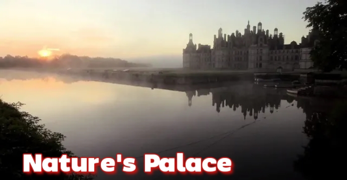 Nature's Palace