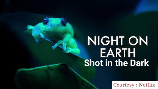 Night on Earth: Shot in the Dark