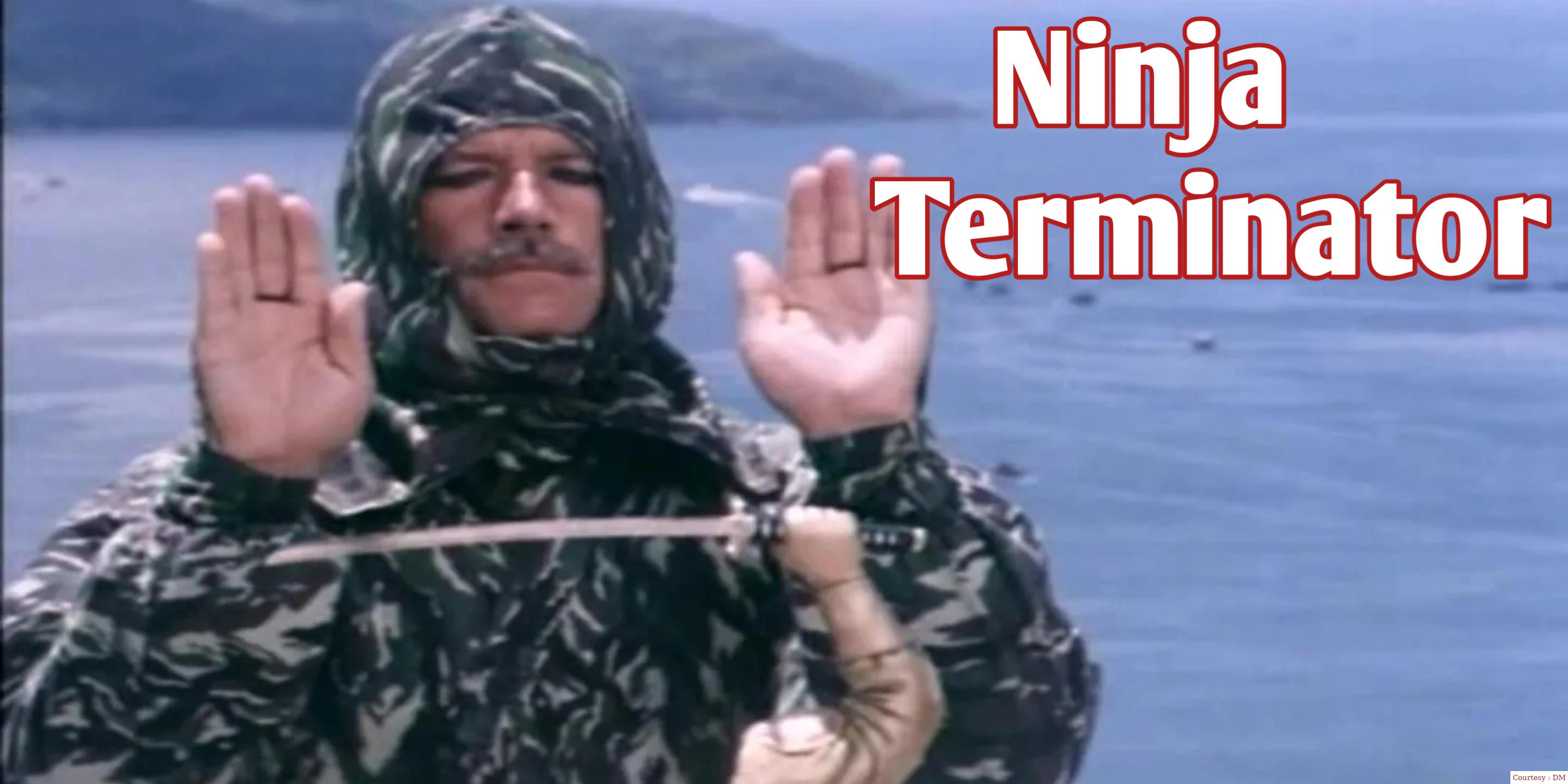 Ninja Terminator
