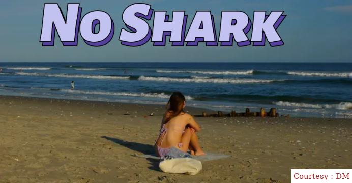 No Shark