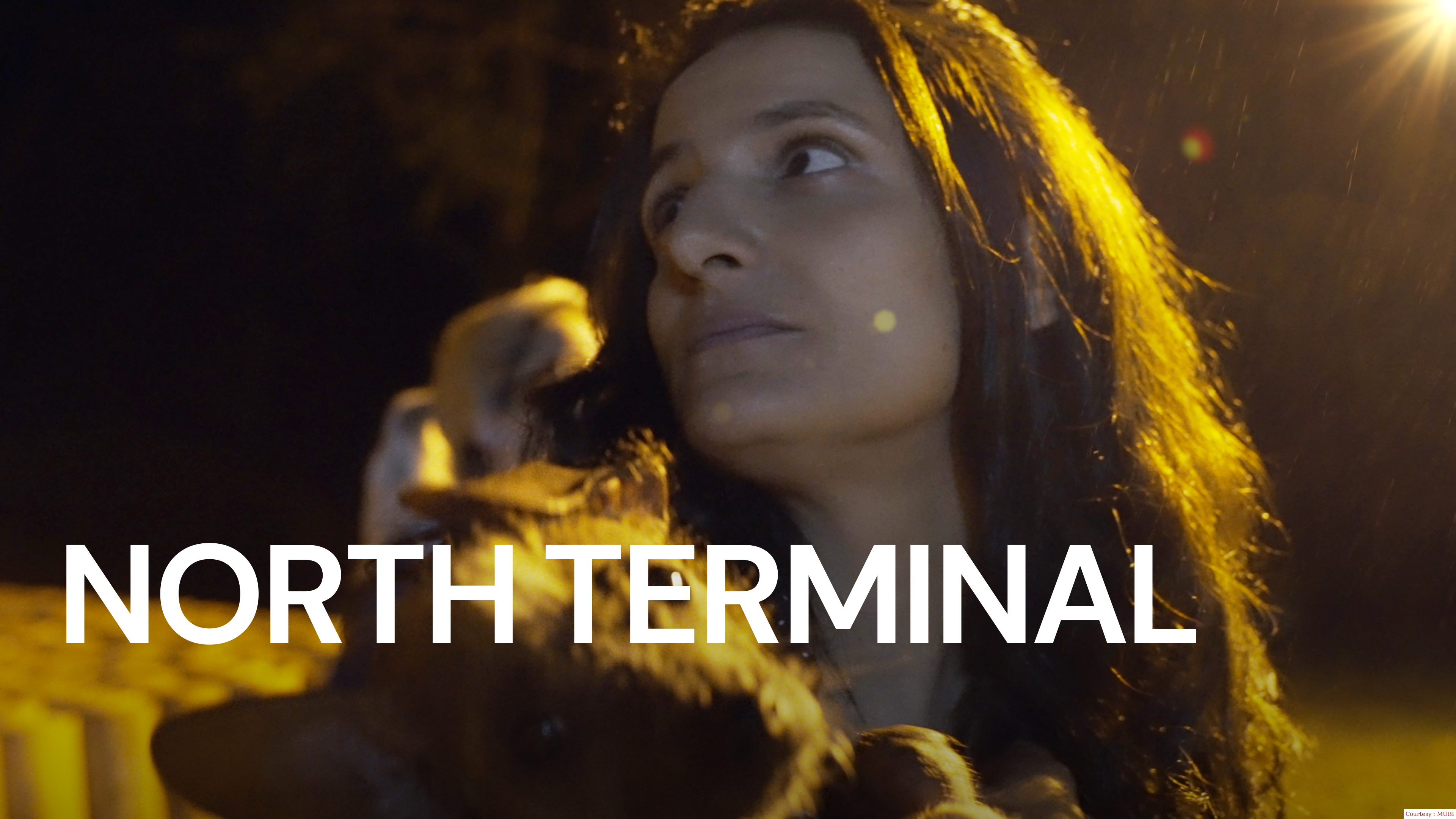 Watch Free  North Terminal Full Movie Online