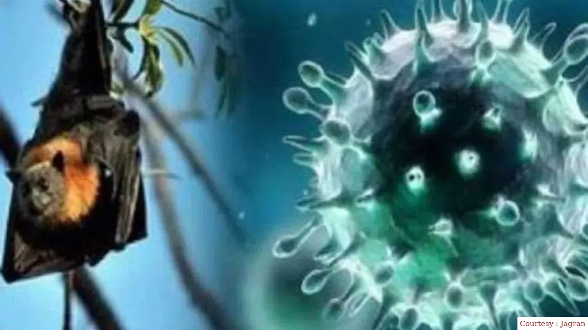 Number of contact with Nipah infected in Kerala 1008
