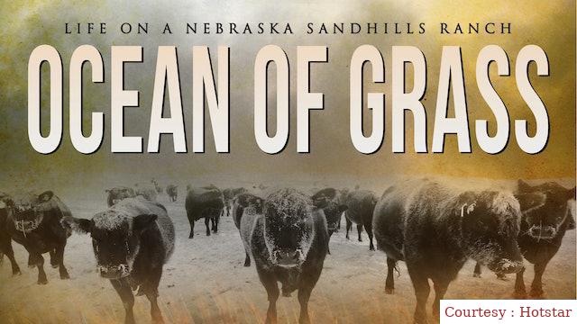 Ocean Of Grass: Life On A Nebraska Sandhills Ranch