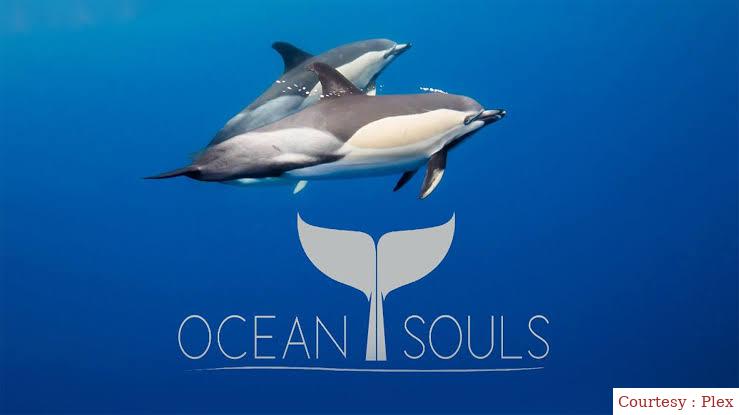 Ocean Souls 