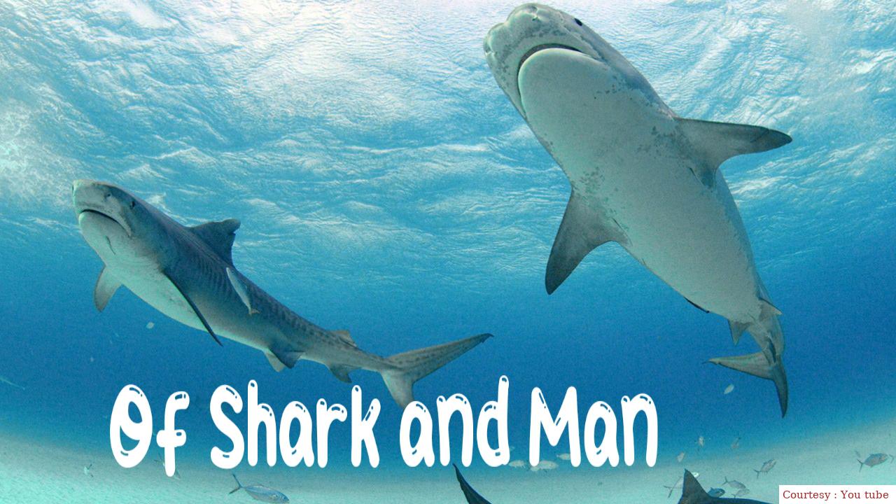 Watch Free  Of Shark and Man Full Movie Online