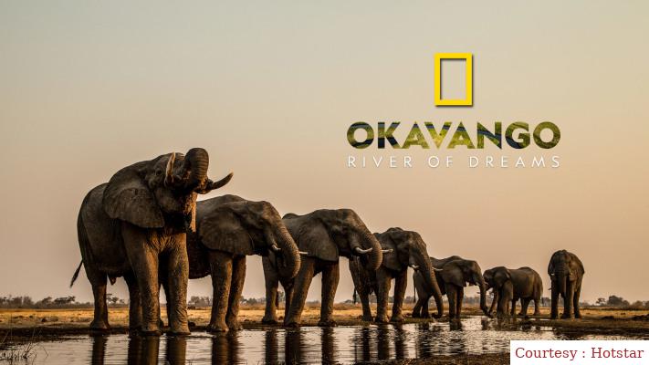 Okavango: River of Dreams 
