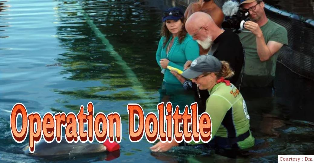 Watch Free  Operation Dolittle Full Movie Online