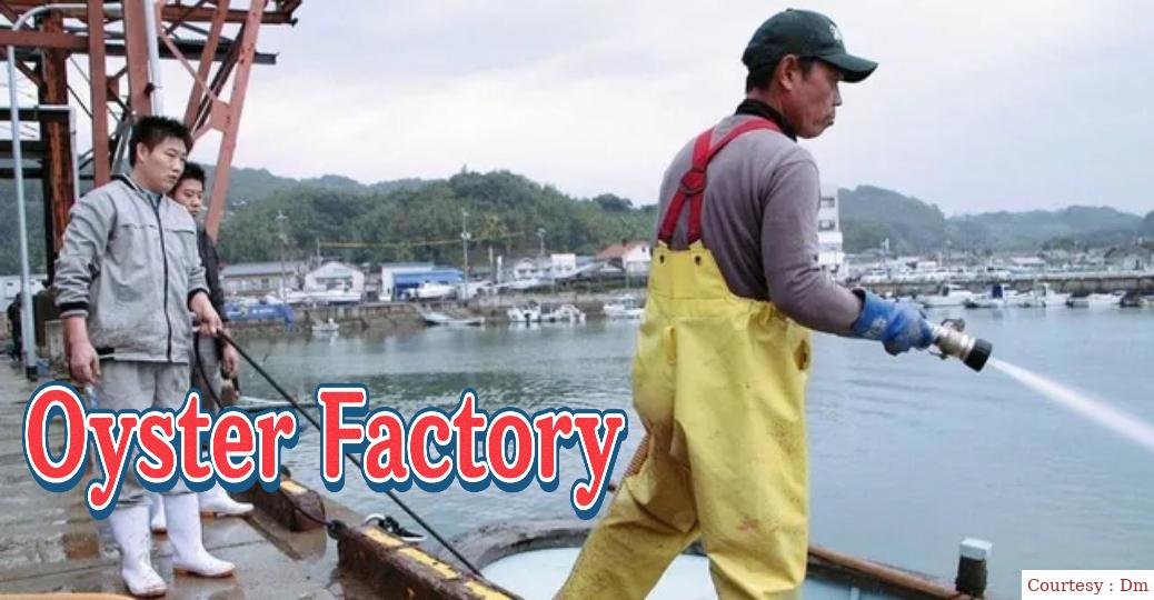 Watch Free  Oyster Factory Full Movie Online
