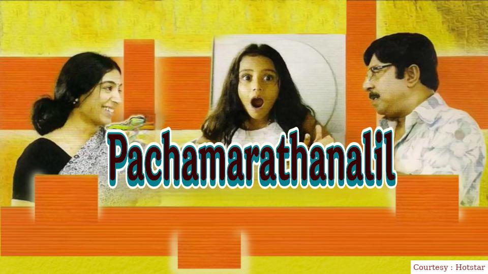 Pachamarathanalil