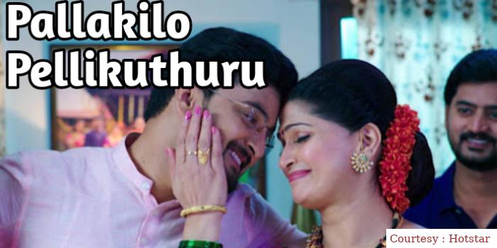 Watch Free  Pallakilo Pellikuthuru Full Movie Online