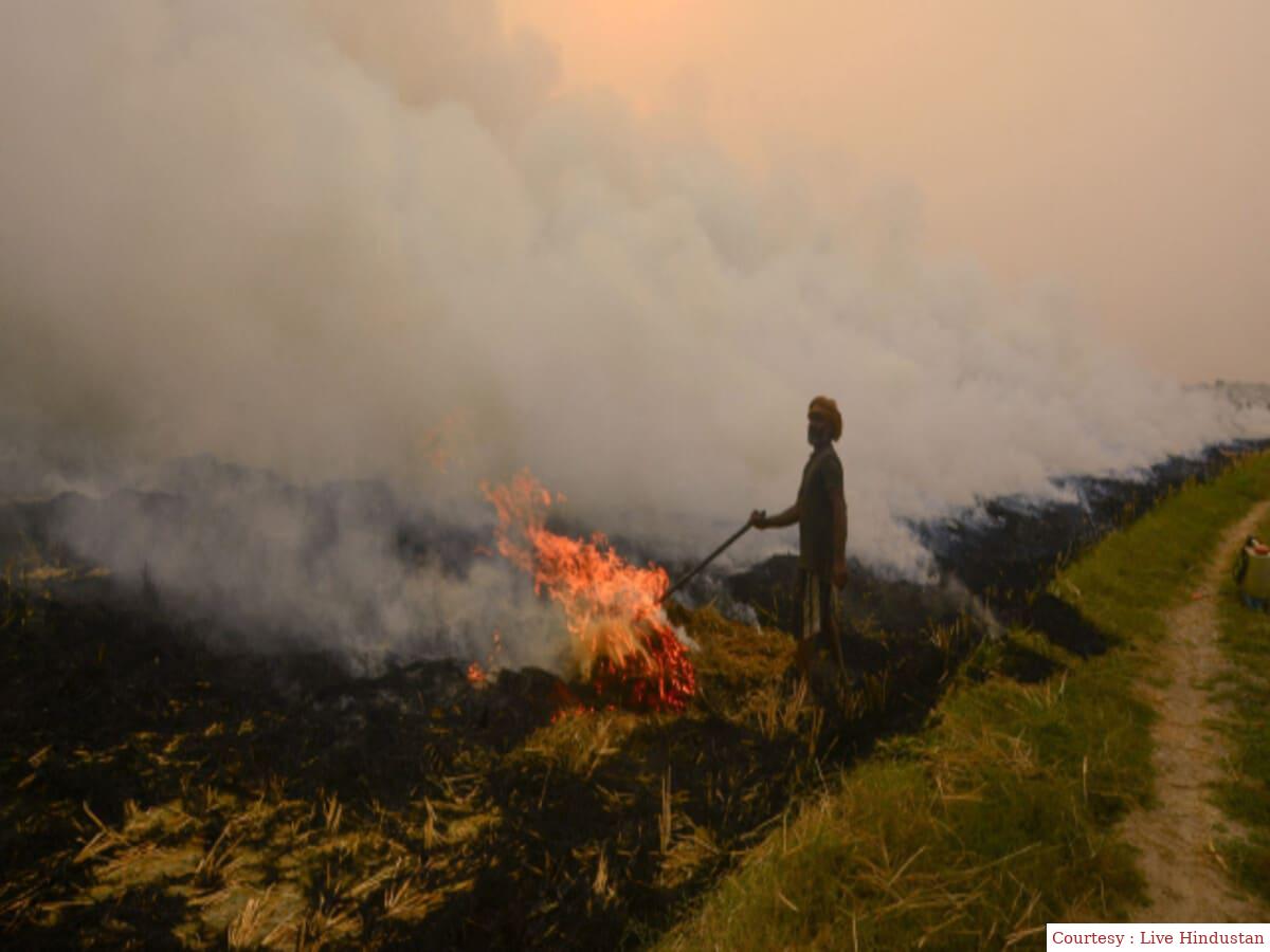 सुप्रीम कोर्ट के आदेश के बाद भी पंजाब में जलाई गई पराली।