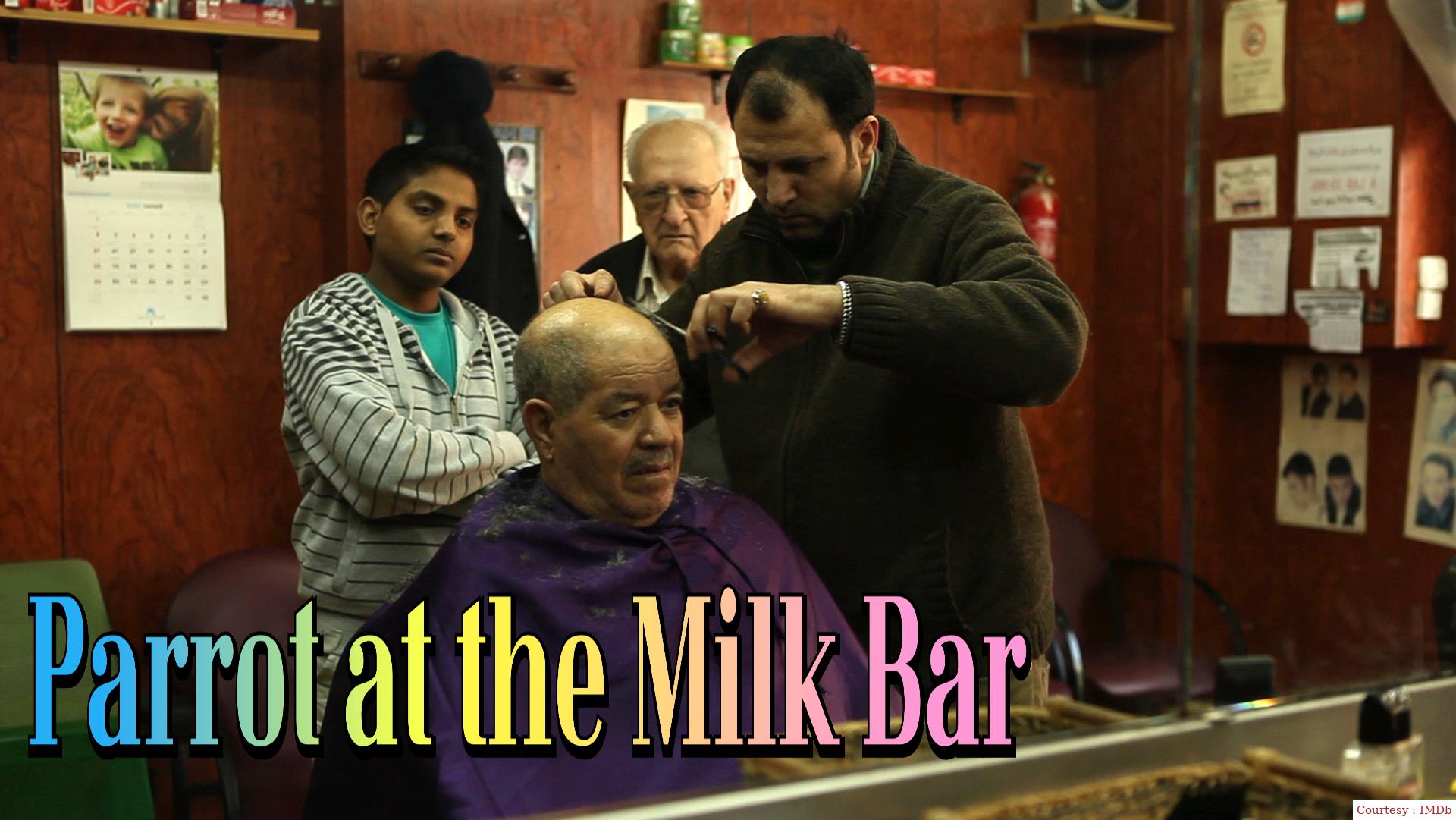 Parrot at the Milk Bar