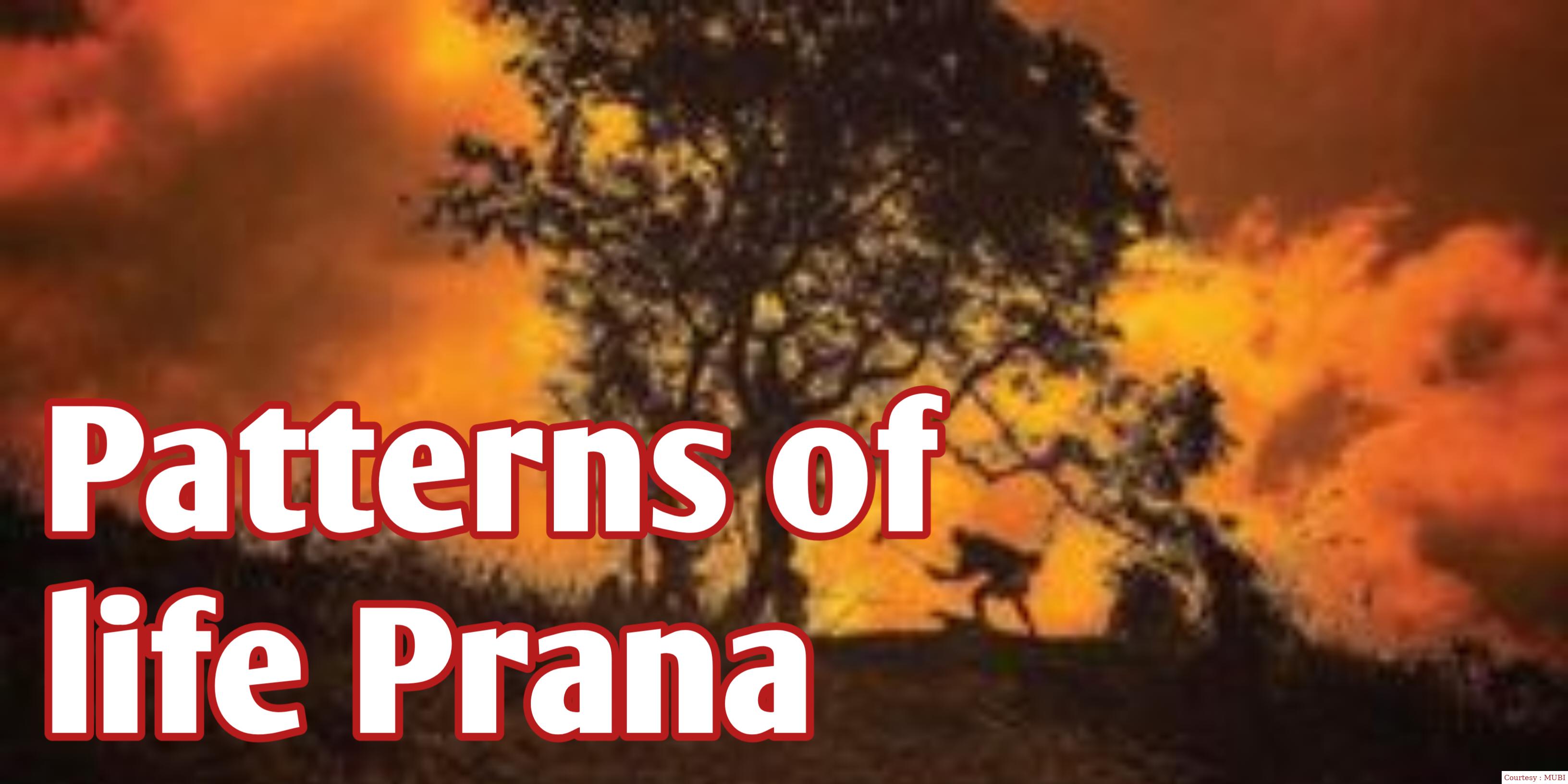 Patterns of life: Prana
