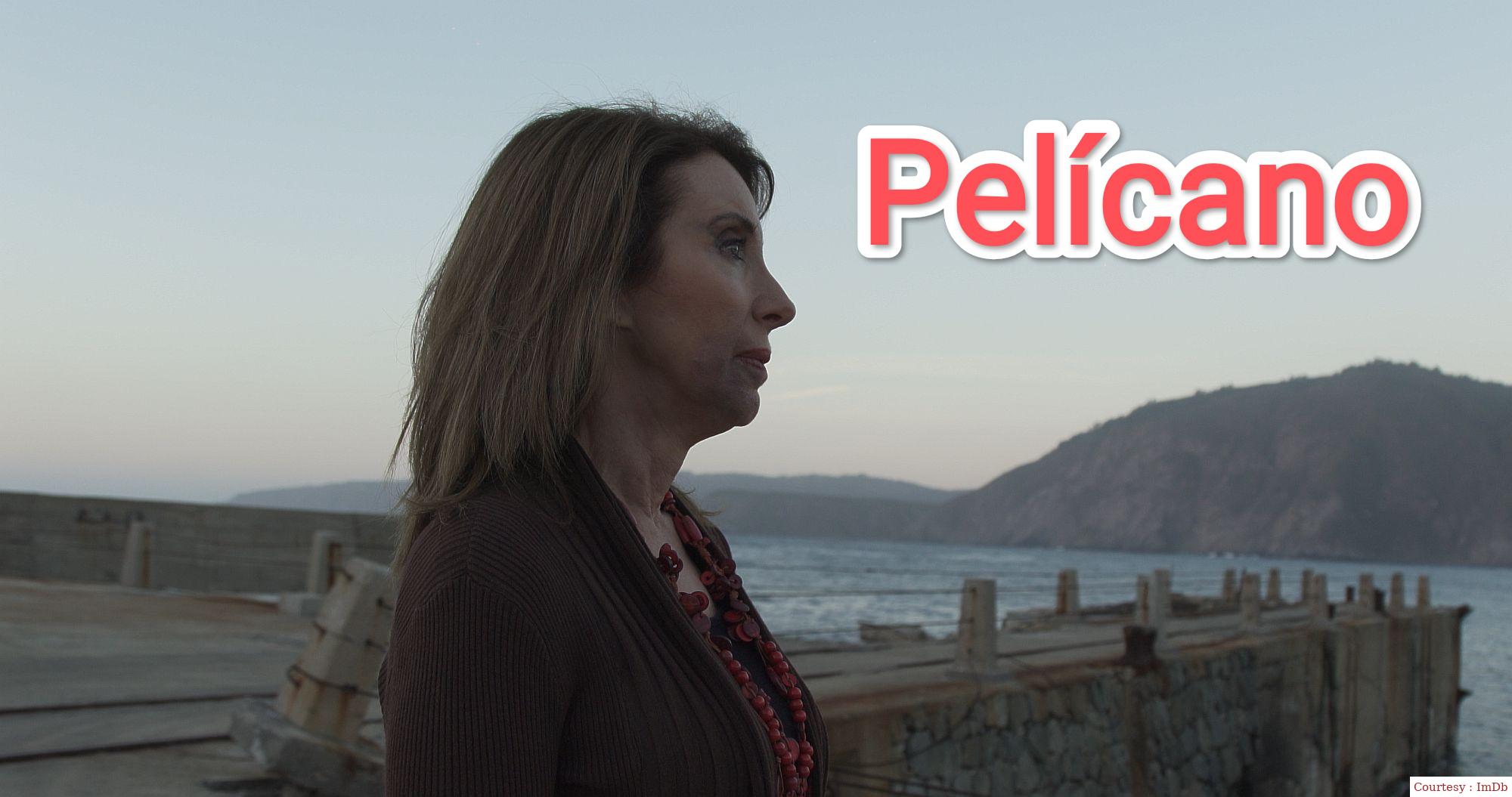 Watch Free  Pelícano Full Movie Online