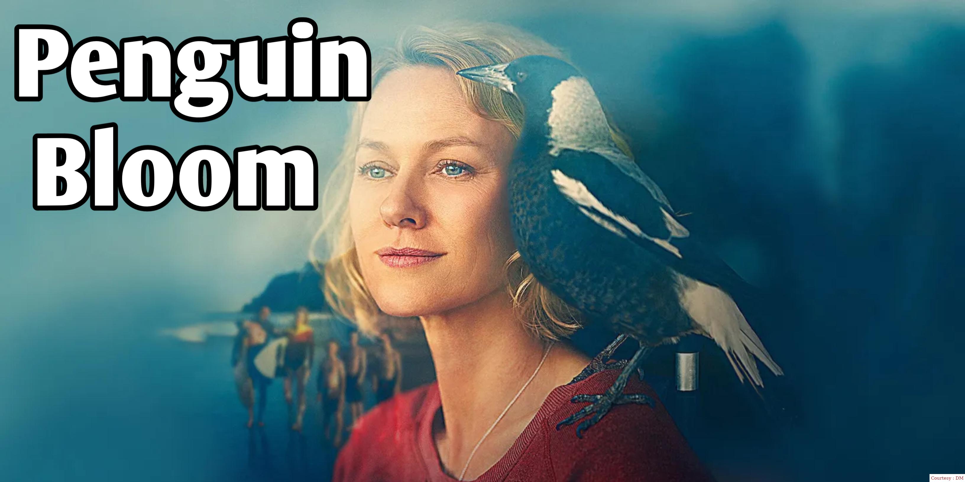 Watch Free  Penguin Bloom Full Movie Online