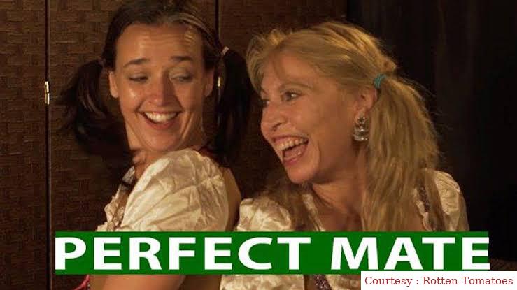Watch Free Perfect Mate Full Movie Online