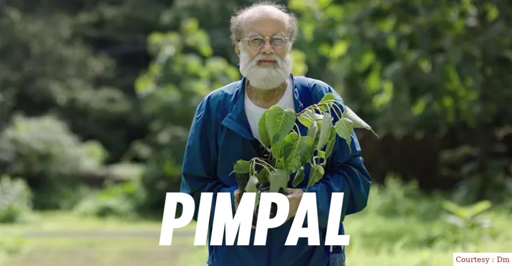 Watch Free  Pimpal Full Movie Online