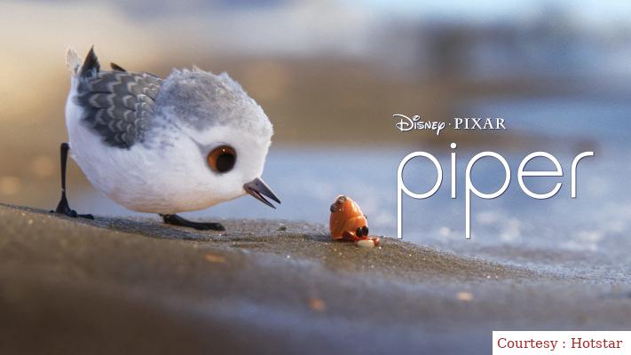 Watch Free  Piper Full Movie Online