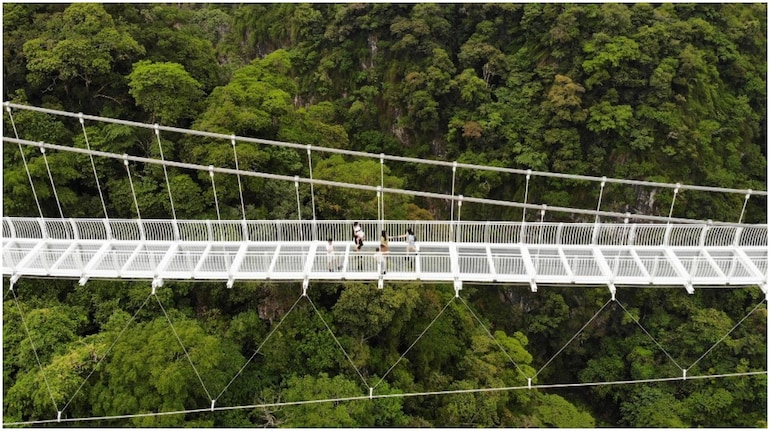 हरे-भरे जंगल के ऊपर कांच के तले वाला सबसे लंबा पुल