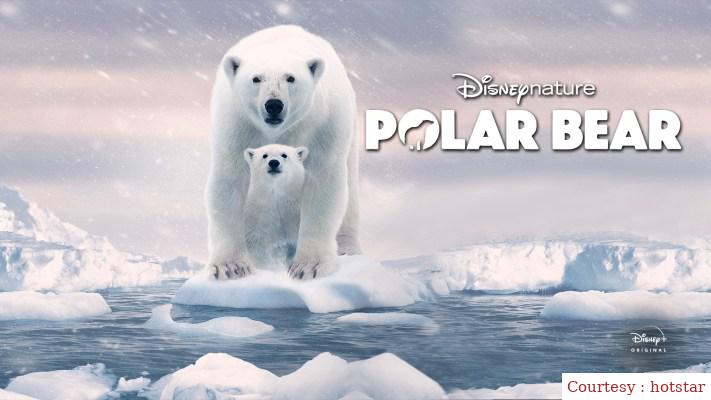 Watch Free  Polar Bear Full Movie Online