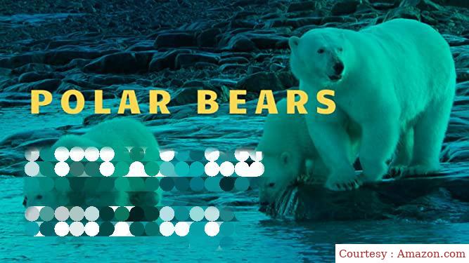 Watch Free  Polar Bears Full Movie Online