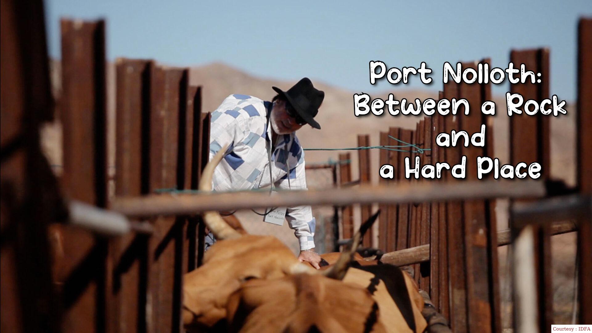 Port Nolloth: Between a Rock and a Hard Place