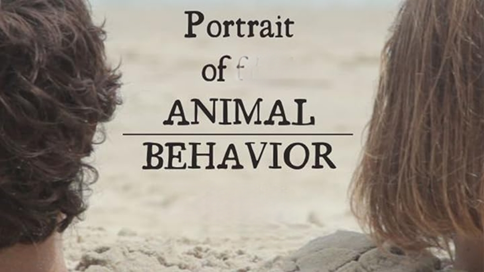 Portrait of Animal Behavior