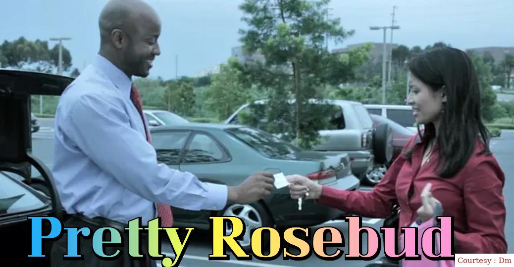Watch Free  Pretty Rosebud Full Movie Online
