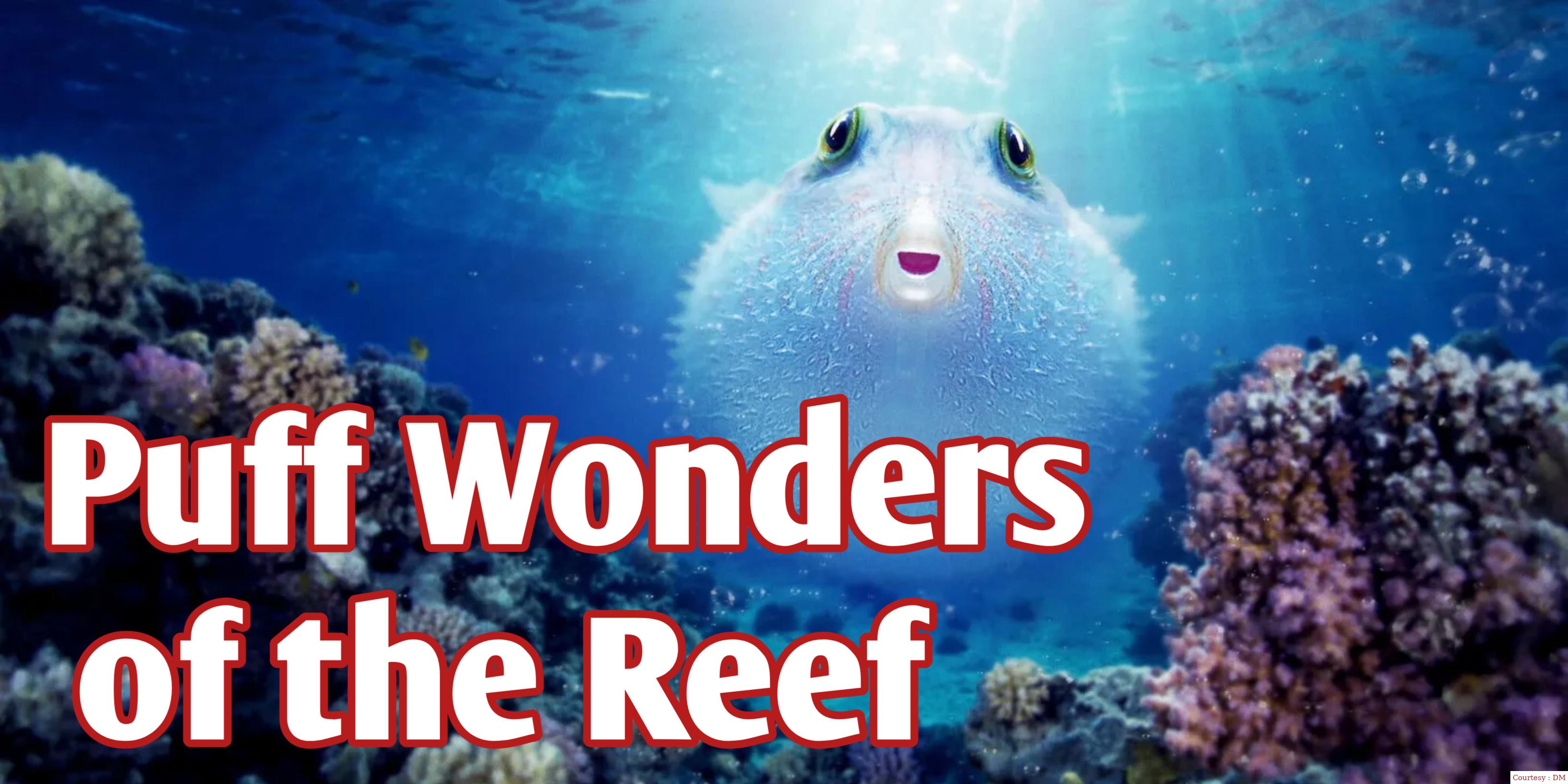 Watch Free  Puff: Wonders of the Reef Full Movie Online