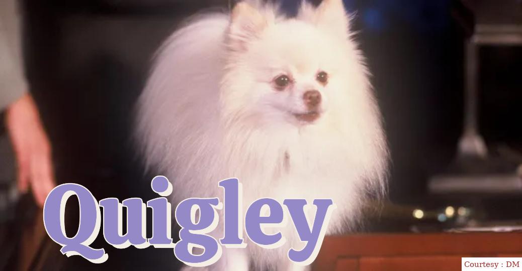 Quigley 