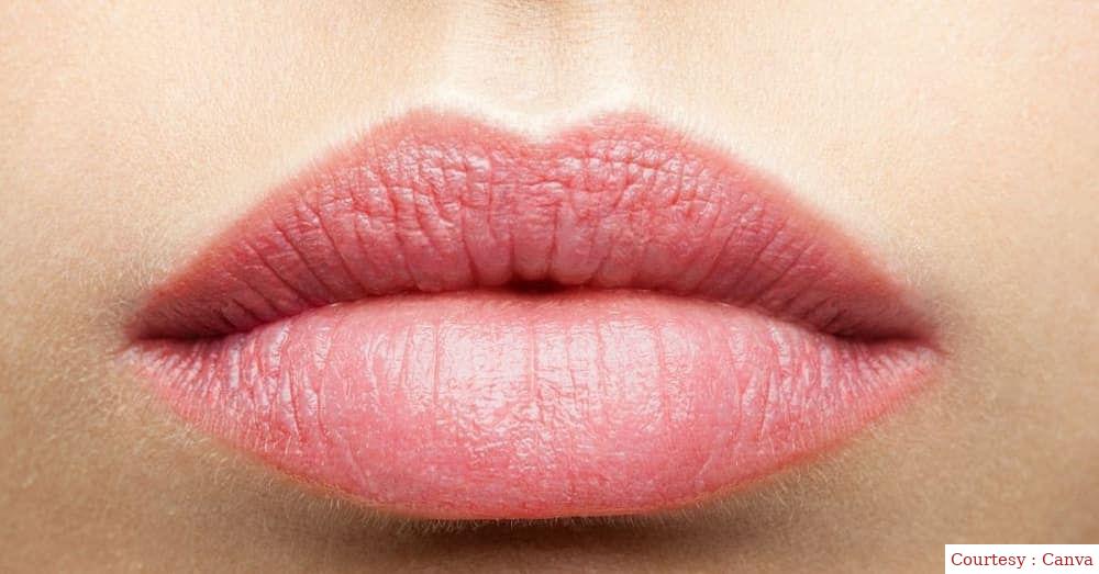 &quot;Lip care: home remedies that can make your lips pink and soft&quot;