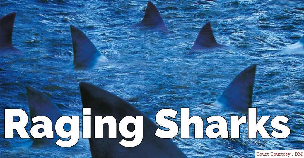 Raging Sharks
