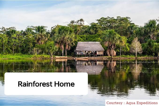 Watch Free  Rainforest Home Full Movie Online