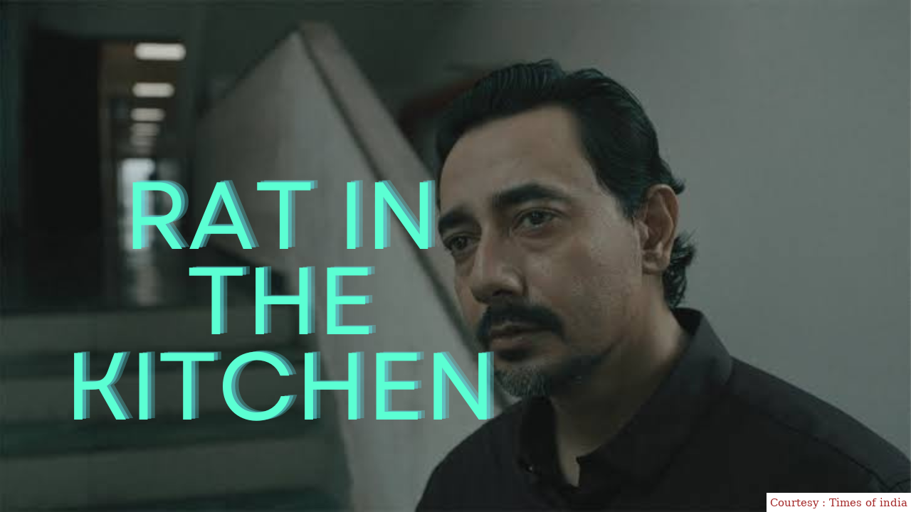 Rat in the Kitchen 