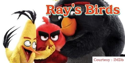Watch Free  Ray's Birds Full Movie Online