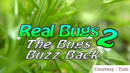Watch Free Real Bugs 2 the Bugs Buzz Back Full Movie Online