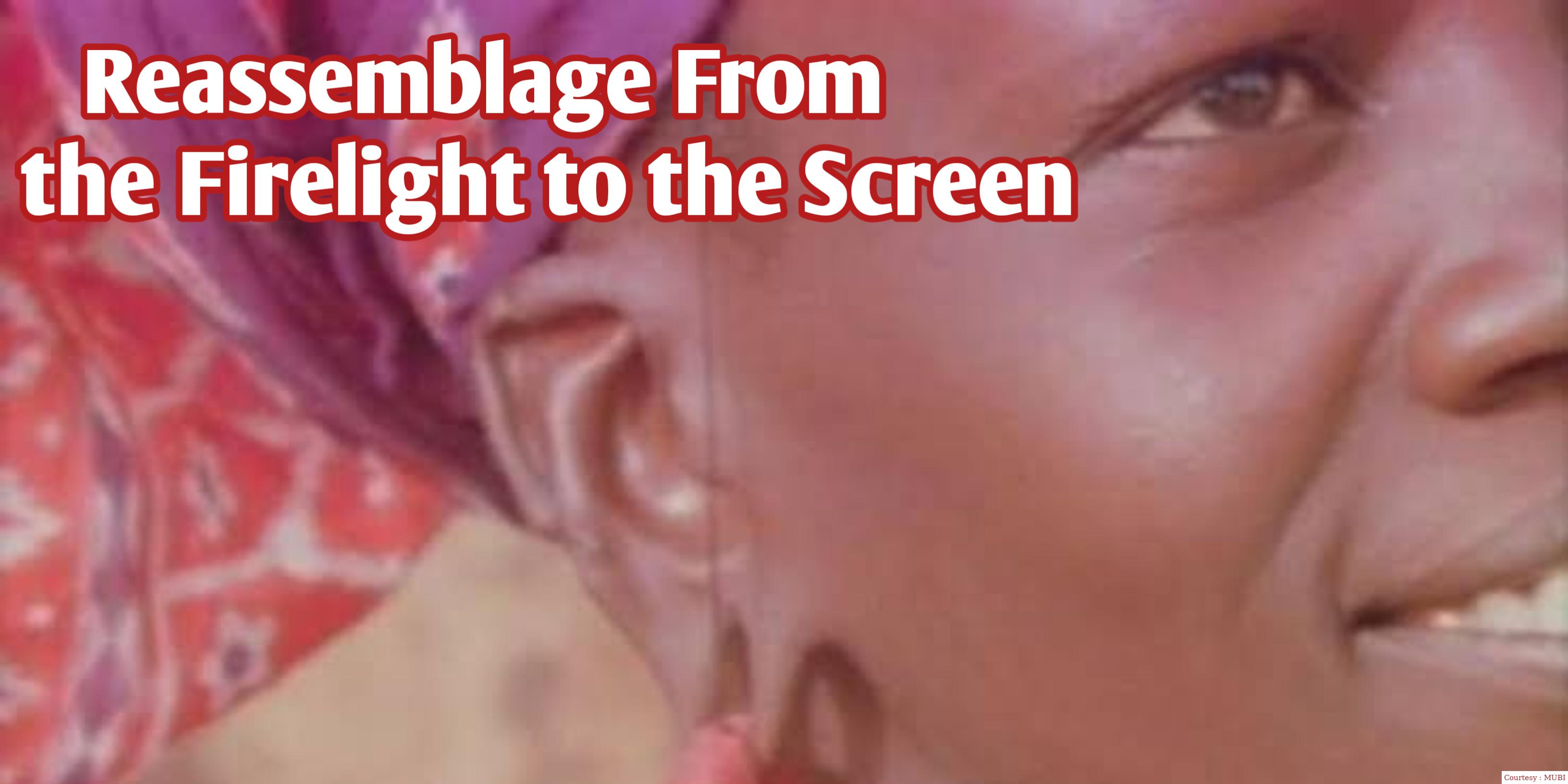 Watch Free  Reassemblage: From the Firelight to the Screen Full Movie Online