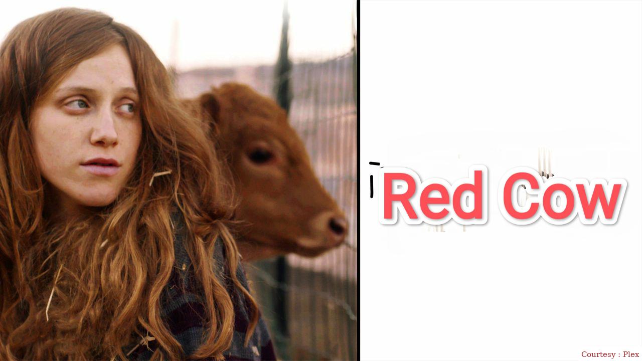 Red Cow 
