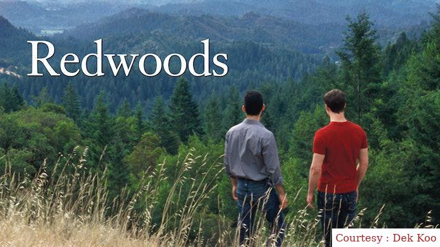 Watch Free  Redwoods Full Movie Online