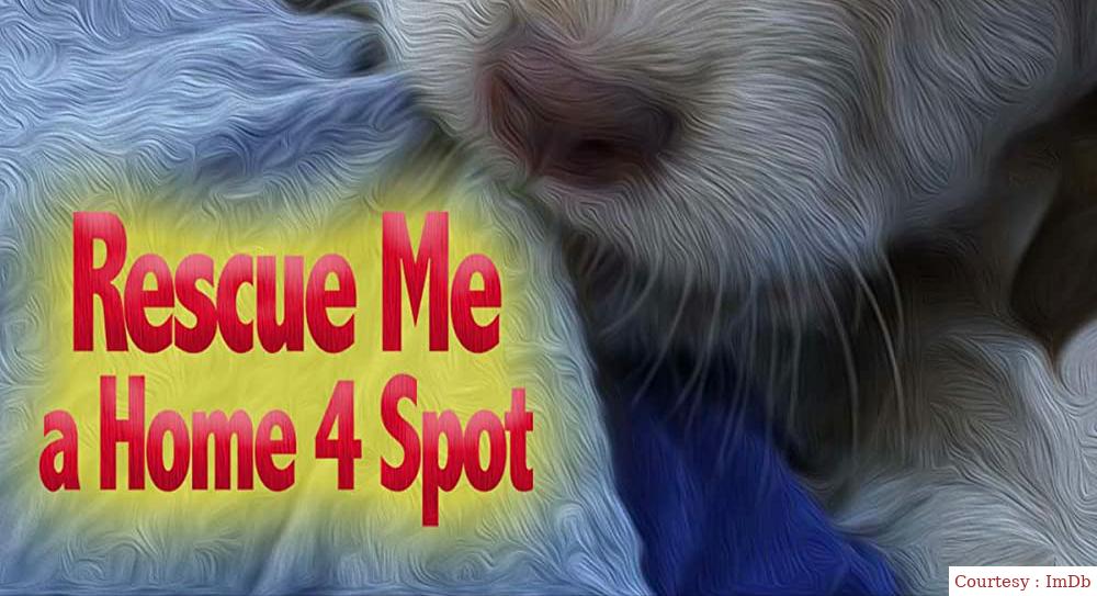 Rescue Me: A Home 4 Spot 