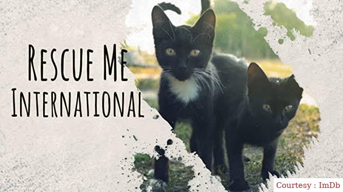 Watch Free Rescue Me: International Full Movie Online