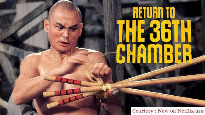 Return to the 36th Chamber