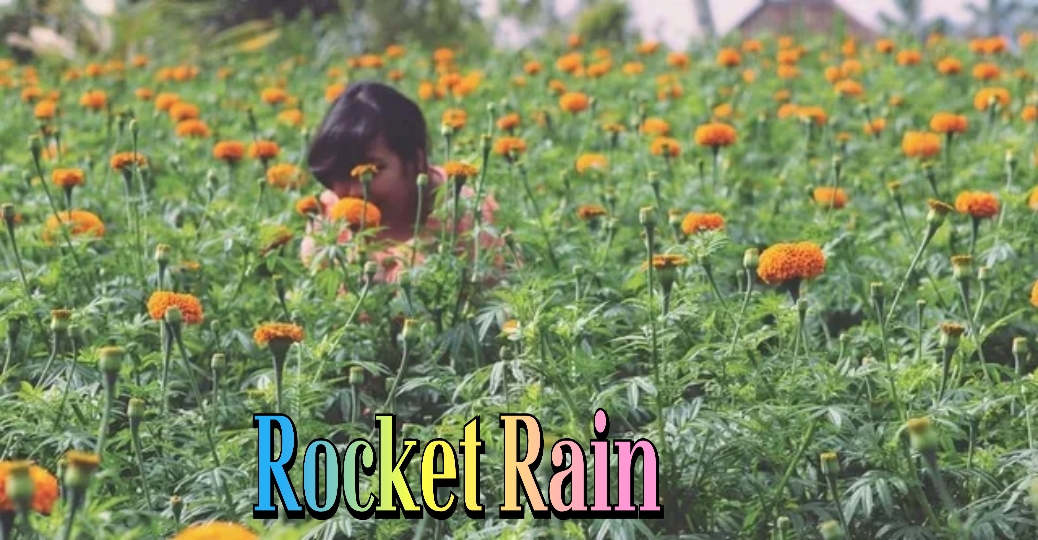 Rocket Rain